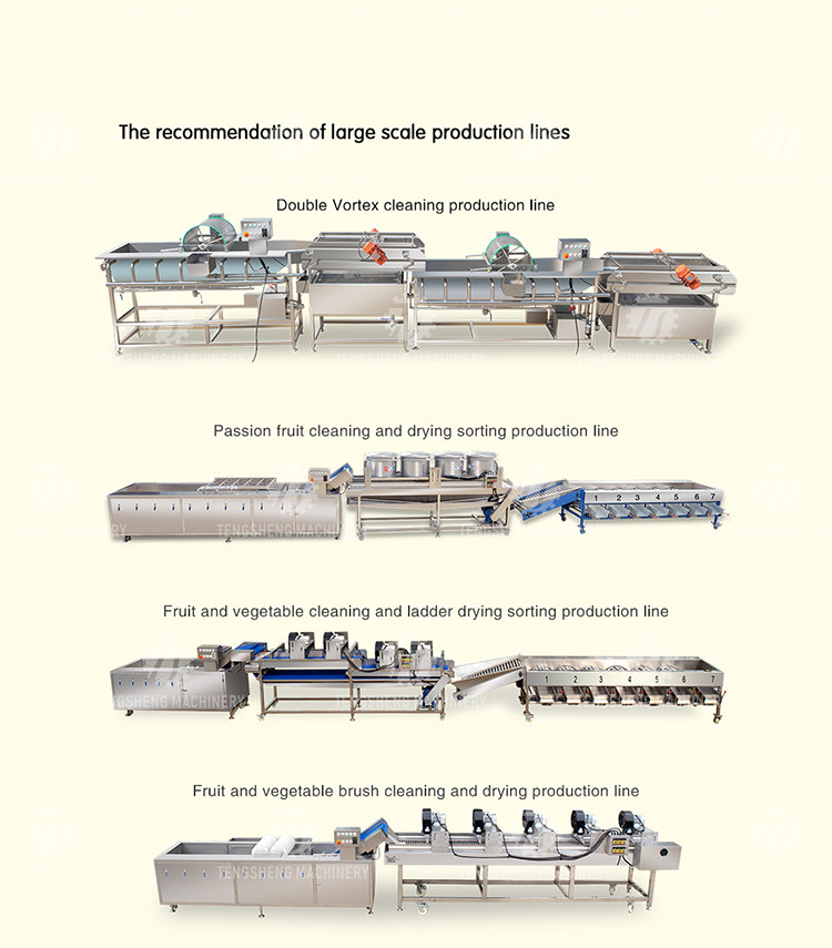 340KG Multi-functional vegetable washing machine large vegetable washing machine continuous type
