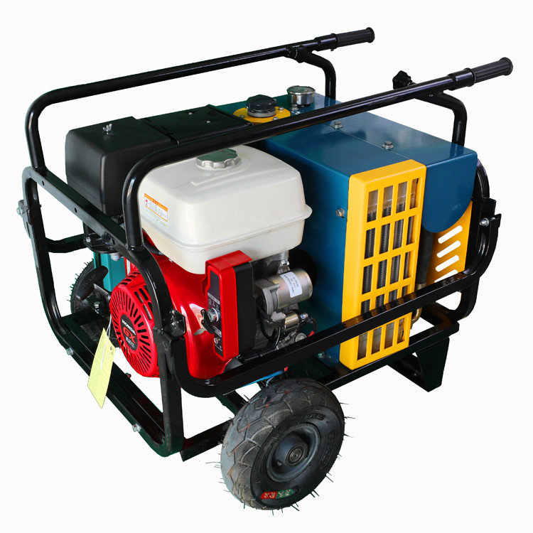 Log Splitter Petrol Hydraulic Power Unit Gas Engine Wire Brush Plate 31 LPM