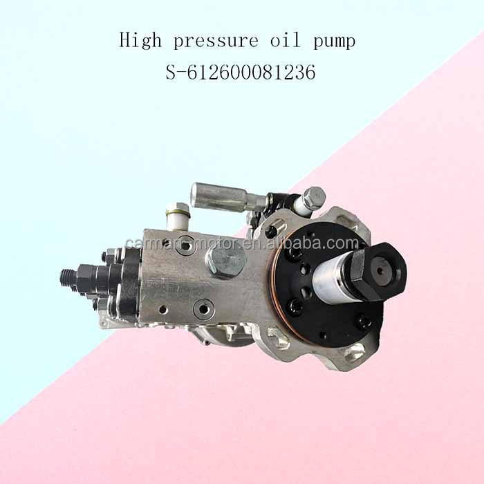 Replace/Repair Purpose High Pressure Fuel Pump 612600081236 for WEICHAI WD618 Diesel Engine Durable Replacement Part