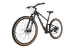 29er Carbon Mountain Bike 11Speed Disc Brake Mountain Complete Bike
