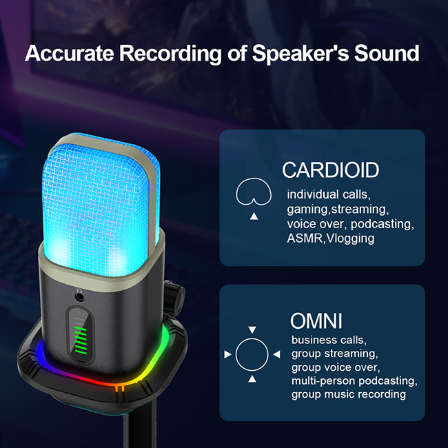 K Song Recording Microphone , 96KHZ 192KHZ Live Broadcast Microphone