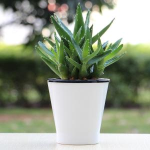 China OD 110mm Cone Sprout Sauto Reservoir Self Watering Houseplant Pots wholesale