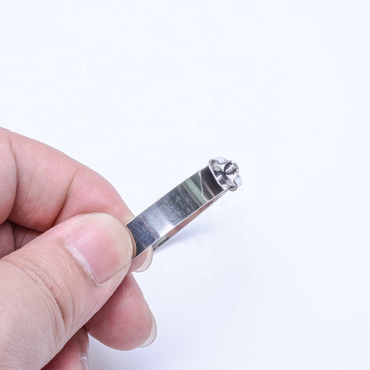 Heat-Resistant White Stainless Steel Cable Ties 304/316 Self-Locking Metal Zip Tie with 100% QC Passed Certification