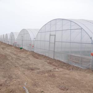 China Single-Span Agricultural Greenhouses Solution for Growing Produce wholesale