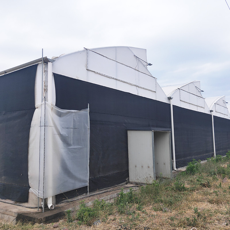 Smart Light Deprivation Multi-span Black Shade Film Greenhouse