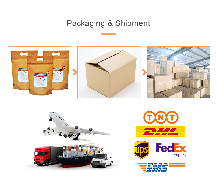 Printed Clothing Packaging Bag Logo Mailing Kraft Shipping Bags For Post