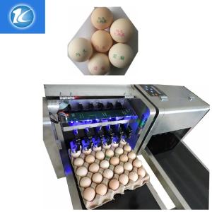China Economical Consumable Material Egg Packaging Machine / Egg Spraying Machine wholesale