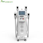 Whole Body Slimming Fat Freezing Physiotherapy Cryotherapy Facial Equipment