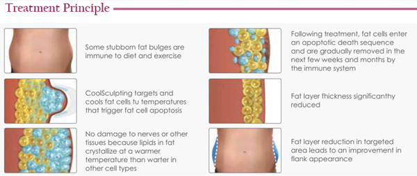 fast cavitation slimming system freezing cryolipolysis slimming equipment for sale