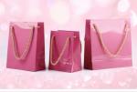 Fashion Printed Logo Jewelry Bags