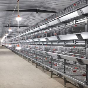 China 1480x1750x440mm Battery Chicken Cage wholesale
