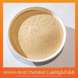 China Ca Mg Zn B Amino Acid Chelated Micronutrients Fertilizer Yellow Powder wholesale