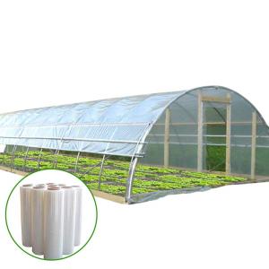 China Vegetable Growing Plastic Film Greenhouse / Tunnel Single Span Greenhouse wholesale