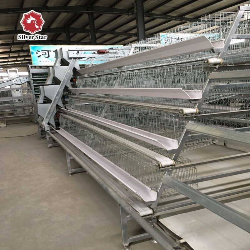 Q235 Hot Galvanized Automatic Day Old Chicks Cage For Poultry Farm