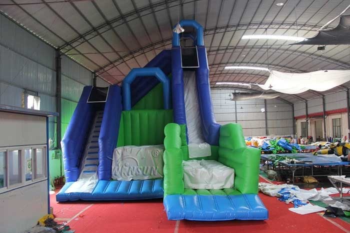 Giant Commercial Inflatable Water Slides For Amusement Park / Playground