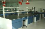 Educational Steel Lab Furniture , Instrument School Lab Furniture With Sink