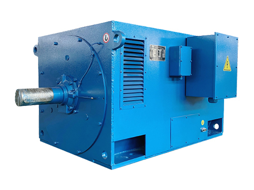 50Hz High Voltage Electric Motor 6KV 10KV Asynchronous Three Phase Motor