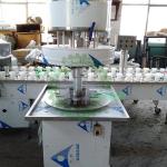 1500BPH Semi-Auto Rotary 12 Head Mineral Water Bottling Machine