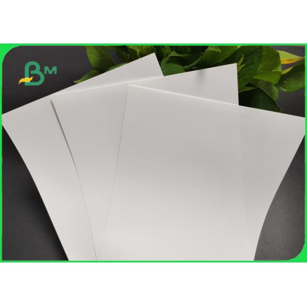Seamless 240gsm 260gsm White Photography Paper For Advertisement Instant Dry Seamless 240gsm 260gsm White Photography Paper For Advertisement Instant Dry