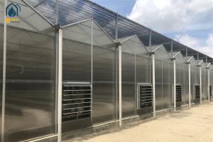 China Heavy Duty Smart Cultivation Polycarbonate Greenhouse Automated Hydroponic Greenhouse wholesale