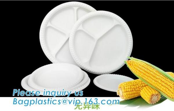 Supermarket display wholesale storage fruit food defrosting plastic tray,manufacturer supply bpa free reusable 3 compart
