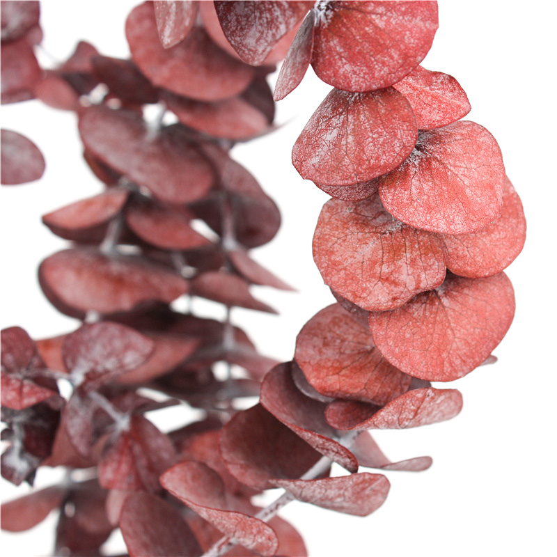 Long Lasting Dried Eucalyptus Leaves , Dried Eucalyptus Decor Eternal Life