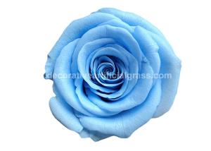 China Dehydrated Eternal Long Lasting Roses In A Box Non-Toxic wholesale