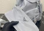 Detachable Small Blue 30cm Womens Nylon Backpack Triangle Logo