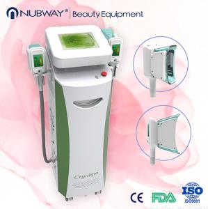 China Promotion!!!beauty salon cryolipolysis machines on sale wholesale