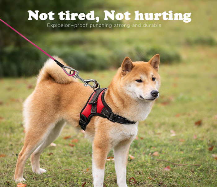 Indestructible Pet Tie Out Cable PVC Coating Dog Leash Rope For 1.8-2.0mm