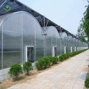 China 12m Multi Span Greenhouse With Hydroponic Growing Systems wholesale