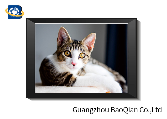Cute Cat Lenticular Printing Picture With Frame 40 x 40 cm PET 0.65 mm