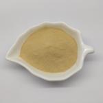 Hydrolyzed Yeast Used for Animal Feed Production Poultry Protein Supplement