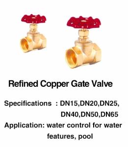 China SGS Swimming Pool Fountain Accessories 1 Inch Brass Gate Valve wholesale