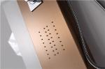 Rose Gold Shower Columns Panels Waterproof 1500*220*70mm Size With Glass