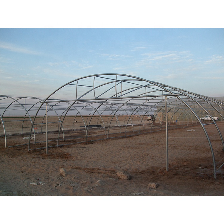 200 Micron Plastic Sheeting Greenhouse Customizable For Gulf Countries