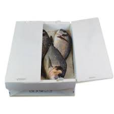 PP Corrugated Plastic Box for Vegetable and Fruit Agriculture Packing box