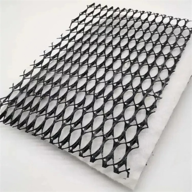Payment T/T 3D Composite Drainage Geonet for Drainage in Office Building Construction