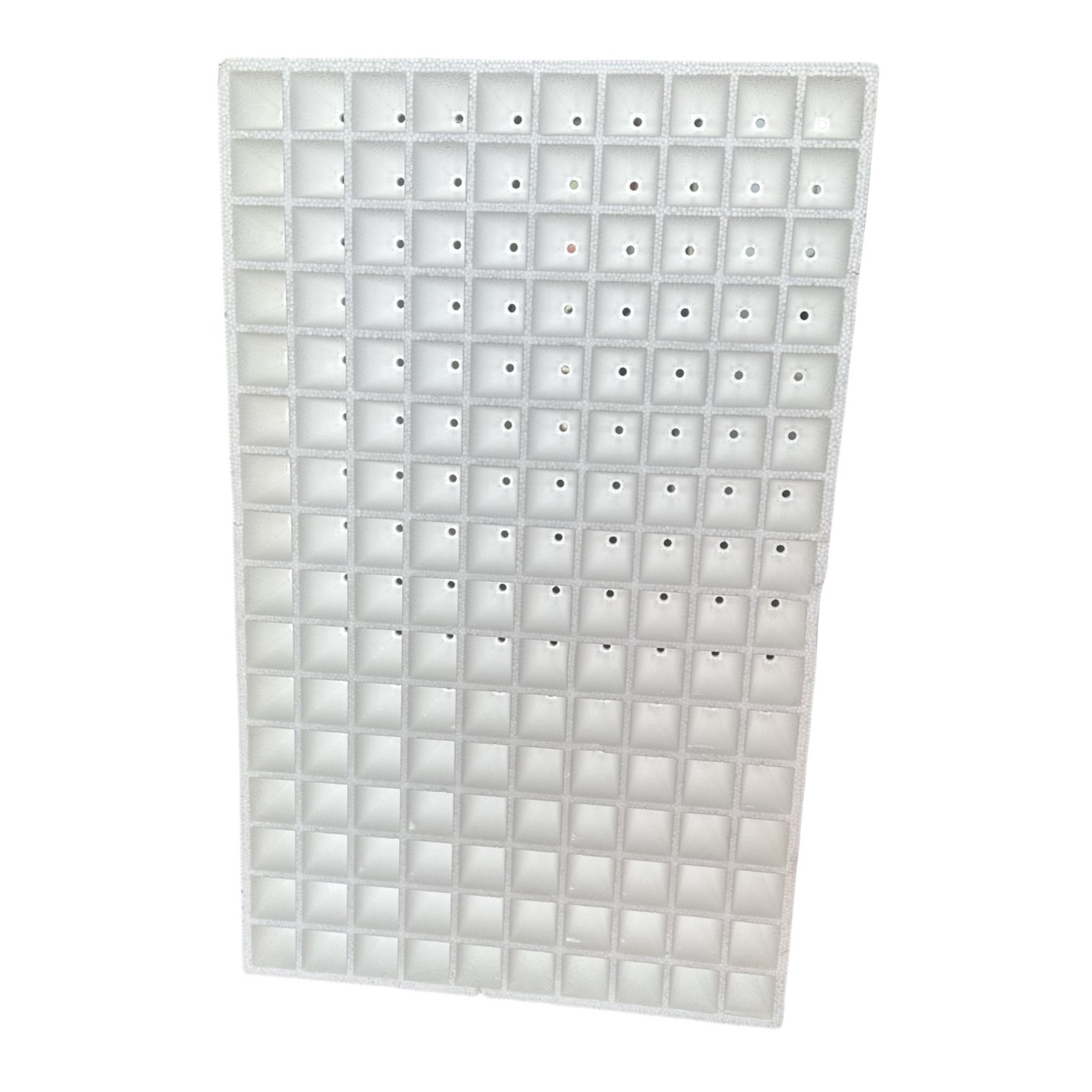 EPS Foam Seedling Tray Customized For Vegetable Melon And Fruit Seedling