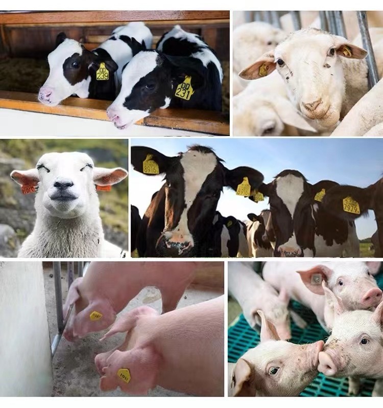 Pig Cow Livestock ID Tags Aluminum Alloy Sheep Ear Tag Applicator