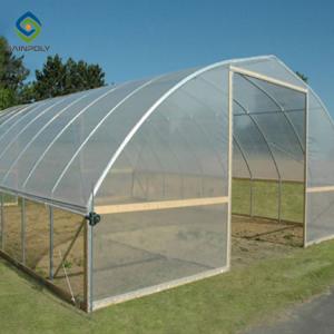 China 0.5KN/M2 Clear Polythene Single Tunnel Greenhouse wholesale