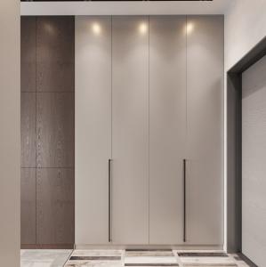China Modular Wooden Internal Storage Wardrobe Already Assembled Plywood wholesale