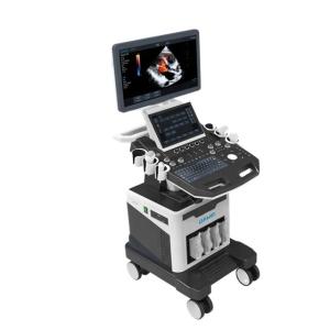 China 4D Medical Ultrasound Machine Elastography Trolley Ultrasonic Scanning Machine wholesale
