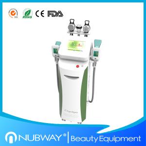 China Best effective Cryolipolysis Slimming Machine Made in China wholesale