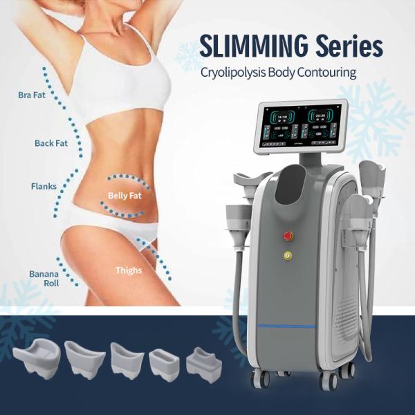 13.6MHz RF Cryolipolysis Machine Fat Freeze Vacuum Slimming Equipment