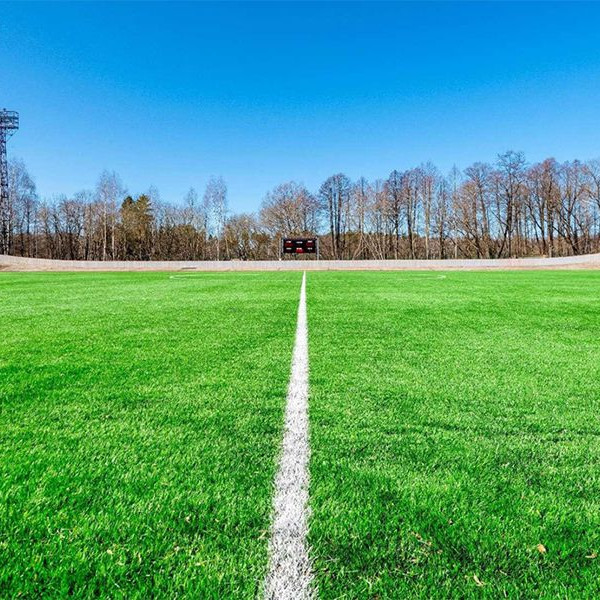Football Artificial Turf Gauge 5/8 Inch PE material Green color Fake Grass For Soccer Fields and school playgrounds