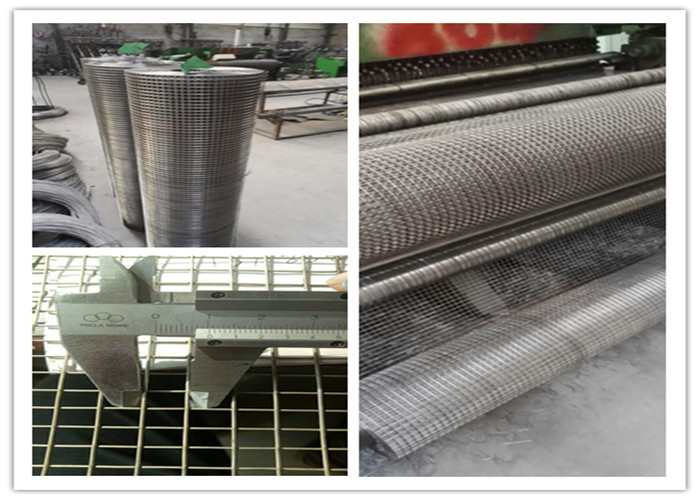 1/2 " 18G Stainless Steel Welded Wire Mesh Rolls