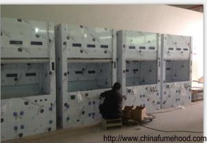 China Alkali Resistant Chemical Fume Hood Multifunctional Waterproof wholesale