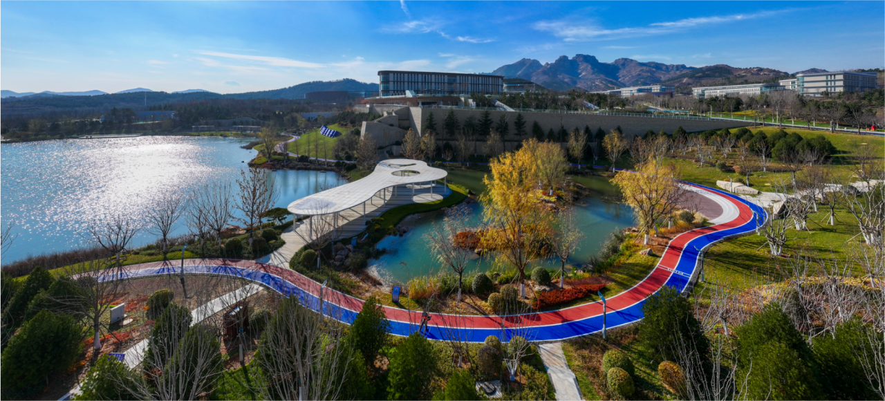 Commercial-Grade Heavy-Duty & UV-Stable Rubber Jogging Track EPDM Walkway Waterproof Trackway Installation