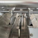 Flow Feeder Shrink Packaging Machine 2.6KW 180bags/min Ice Cube